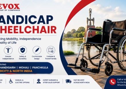 Handicap Wheelchair Guide